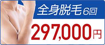 全身脱毛6回 297,000円